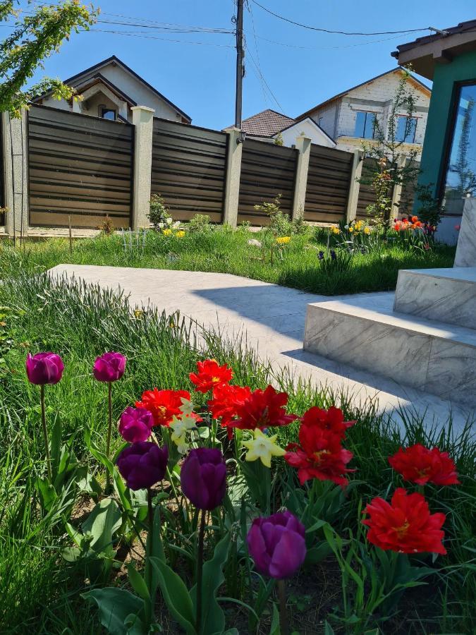 Vila Fara Nume Năvodari Exteriör bild